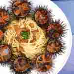 spaghetti with sea urchin